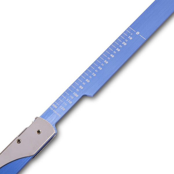 Motion Pro - Sag Scale