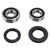 Bearing Worx - Rear Wheel Bearing Kit - Yamaha