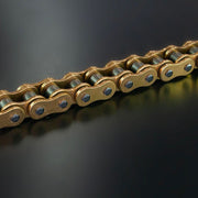 Rk - 520MXZ5 120 Link Gold Chain