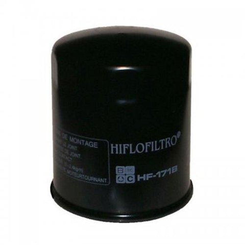 HiFlo - Harley Davidson Oil Filter (4306038128717)