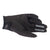 Alpinestars - 2023 Techstar Black/Silver Gloves