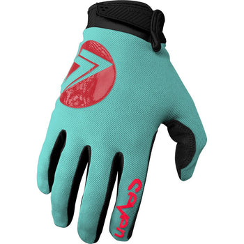 Seven - 23.1 Annex 7 Dot Aruba Glove